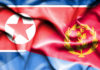 The deadly dozen – comparing Eritrea and North Korea