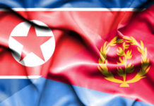The deadly dozen – comparing Eritrea and North Korea