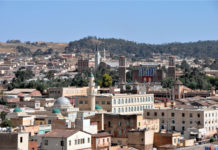 Canadian report on Eritrean transnational repression