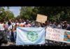 The Summer PFDJ Died – A Dossier