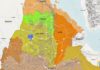 THE TIGRAY WAR®IONAL IMPLICATIONS(VOLUME 2)