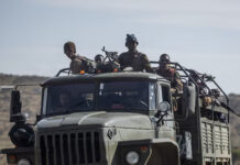 Canada revives military co-operation with Ethiopia despite genocide allegations