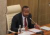 Ethiopia’s PM Abiy appoints new leader of Tigray administration