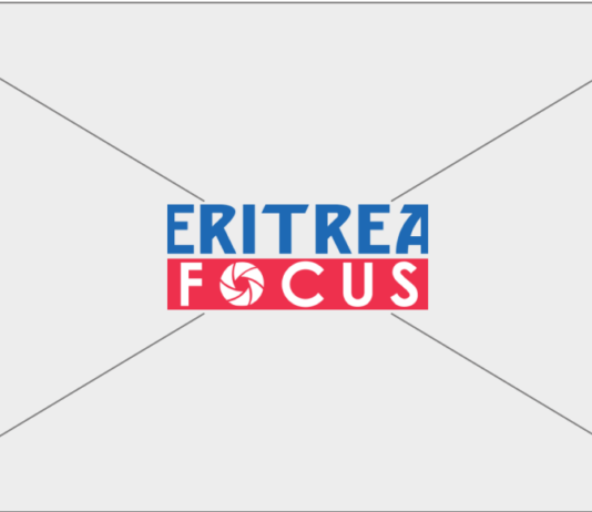 Eritrean Transnational Repression Response Task Force