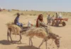 Sudan Is in Free Fall