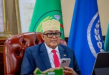Israel Recognizes the Republic of Somaliland, Netanyahu Says in Call With East African Leader