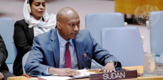 From Competition to Integration: Reengineering Sudan’s Peace Efforts