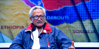 Ethiopia’s Loss of Red Sea Access Price of Illegitimate Transitional Decisions, Says Analyst