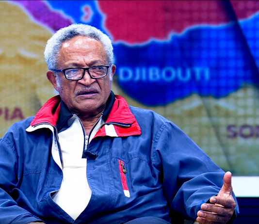 Ethiopia’s Loss of Red Sea Access Price of Illegitimate Transitional Decisions, Says Analyst