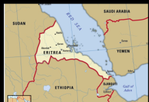 Dankalia and the Eritrean Future: Strengths and Fault Lines in the Afar Resolution