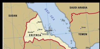 Dankalia and the Eritrean Future: Strengths and Fault Lines in the Afar Resolution