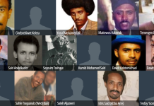 The Eritrea 16