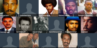 The Eritrea 16