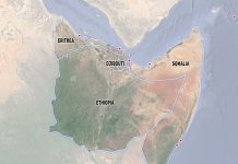 Eritrea Accuses UAE of Port-Based Colonialism in Africa