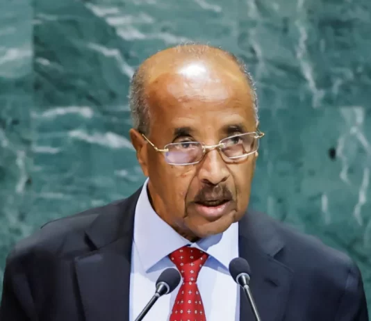 Exclusive: UAE pursuing ‘port imperialism’ across Africa, Eritrean foreign minister says