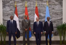 Drawing regional red lines: Egypt, Eritrea, Sudan, and Somalia forge new bloc to counter Red Sea, Nile, and territorial threats