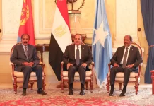 Egypt to host Eritrea, Sudan, Somalia leaders as Ethiopia conflict fuels regional tensions
