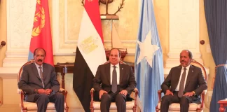 Egypt to host Eritrea, Sudan, Somalia leaders as Ethiopia conflict fuels regional tensions