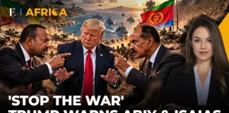 ‘Step Back Now’: US Demands Peace as Ethiopia & Eritrea Tensions Escalate | Firstpost Africa